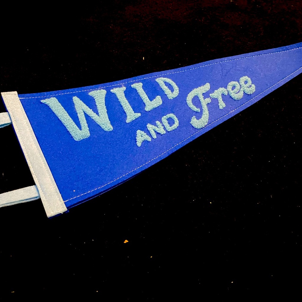 Blue Kids Pennant Flag